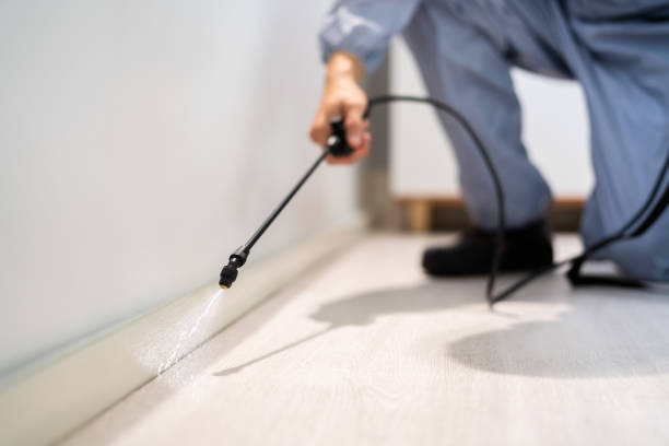 Licensed Cockroach Control service in Maben, MS - Nex Pest Control